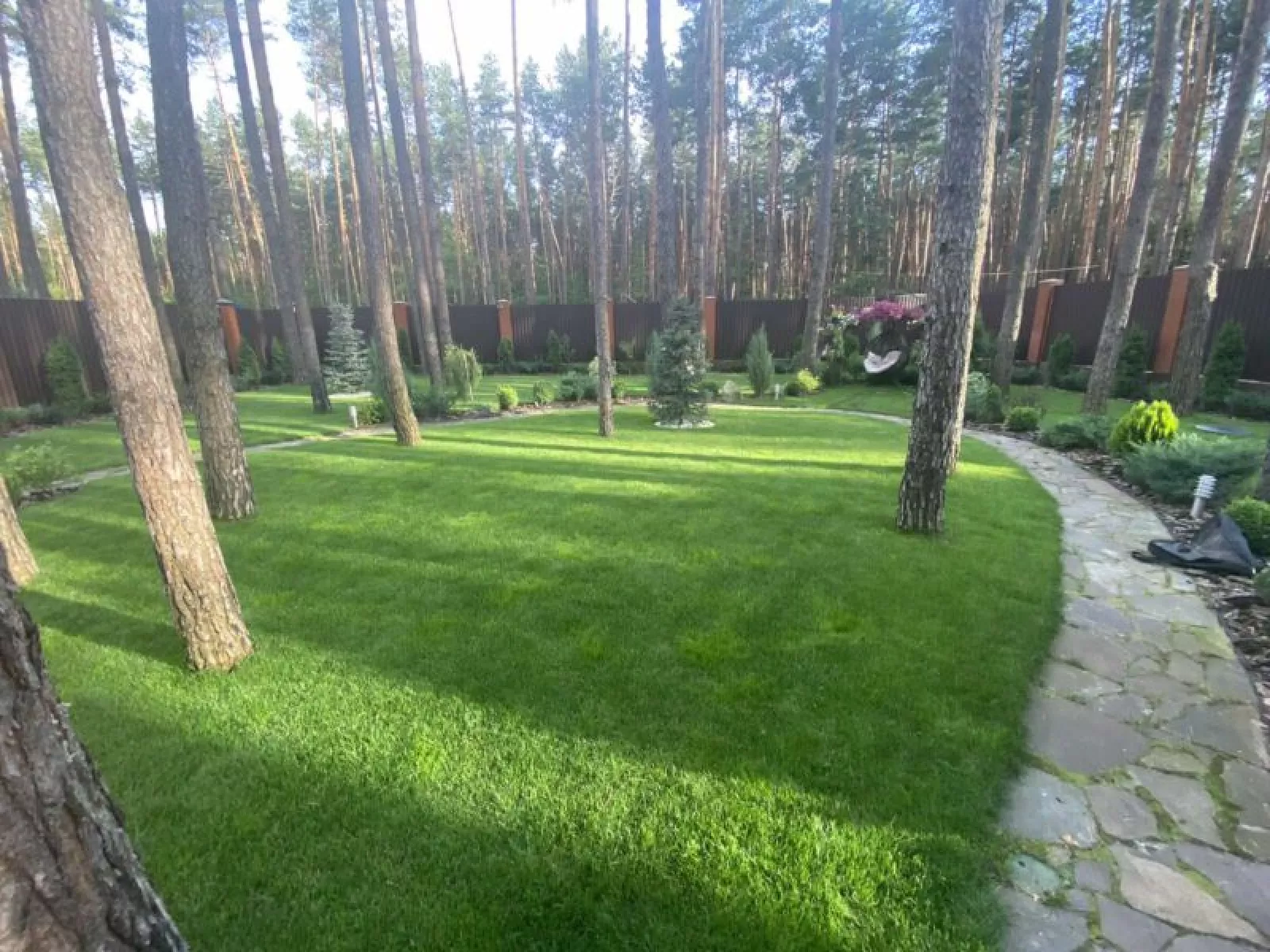 Ремонт газона — фото 3